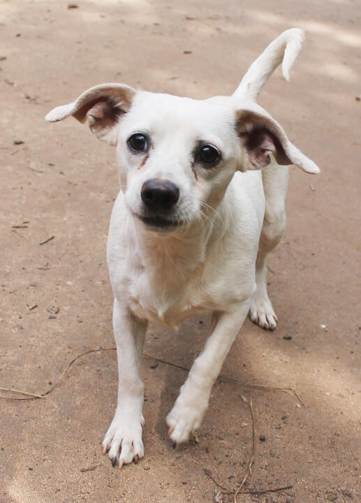Untitled Untitled
